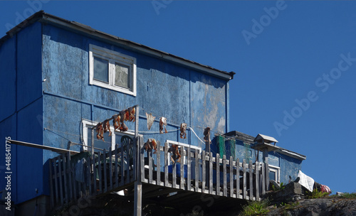 fish are dried in the sun to become salty, Qaqortoq, Greenland photo