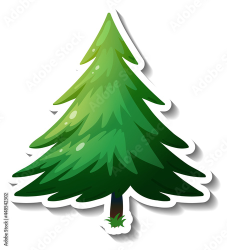 An evergreen tree sticker on white background