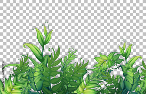 Various tropical leaves on transparent background