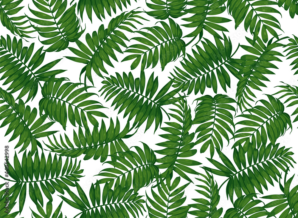 seamless pattern with tropical leaves. Tropical green palm leaf on white background. top view. Vector illustration.