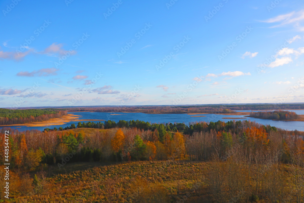 Nice view from the drone to the yellow autumn forest and lake. View from a height to nature.