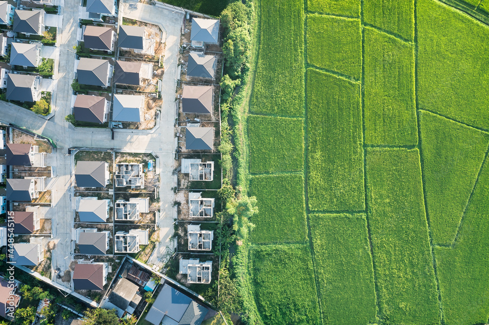 Fototapeta premium Land or landscape of green field in aerial view. Include agriculture farm, house building, village. That real estate or property. Plot of land for housing subdivision, development, sale or investment.