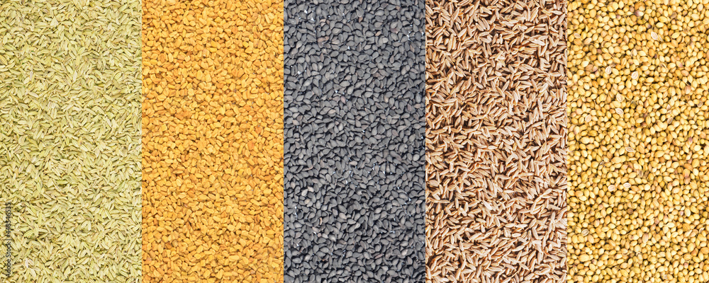 Fototapeta premium Vertical photo spice collage, set of fennel, fenugreek, black cumin, cumin, coriander