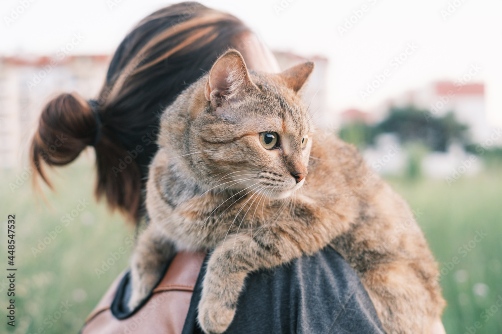 Cat sitting on shoulder of woman on walk.