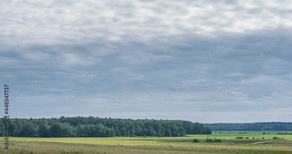 Beautiful fluffy clouds in the summer sky. Beautiful fluffy clouds in the summer sky.