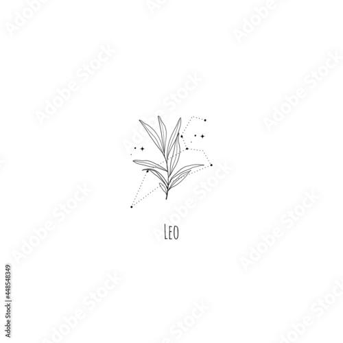 Hand drawing leo constellation symbol with floral branch and stars. Modern minimalist mystical astrology aesthetic illustration with zodiac signs