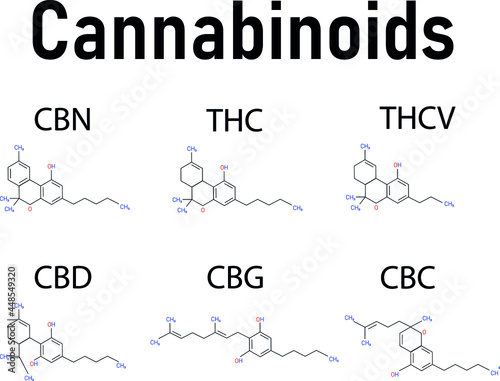 Cannabis skeletal cbd formula. Marijuana molecules vector set. Cannabis formula molecular, chemistry structure cannabinoid illustration