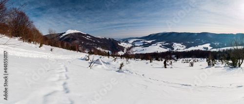 Fototapeta Naklejka Na Ścianę i Meble -  Bieszczady in winter seen from the top of Polonina Wetlinska, the Bieszczady Mountains, the Carpathians