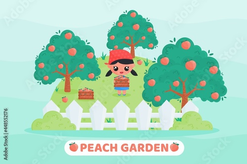 Cute farmer harvesting peach in the garden and holding wooden box full of peaches. kawaii cartoon illustration. Suitable for, sticker, children, farming, botanical product content illustration.