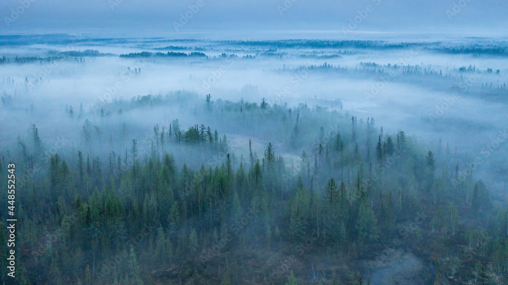 Naklejka premium night fog over the taiga