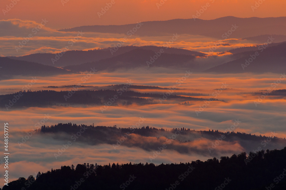 Obraz premium Morning mists illuminated by the rays of the rising sun seen from the summit of Połonina Wetlińska, the Bieszczady Mountains, the Carpathians