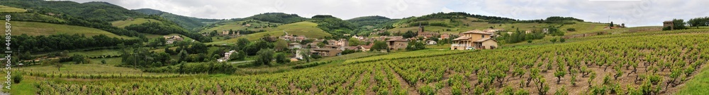 Panorama des vignes près de Jullié dans le Rhône Auvergne-Rhône-Alpes France	