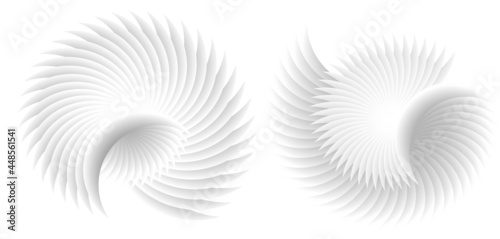 Abstract spiral tor design element on white background of twist lines. Vector Illustration eps 10 for icon beauty salon, for elegant business card,  background event party flyer, sea team, ocean shell