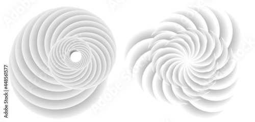 Abstract spiral tor design element on white background of twist lines. Vector Illustration eps 10 for icon beauty salon, for elegant business card,  background event party flyer, sea team, ocean shell