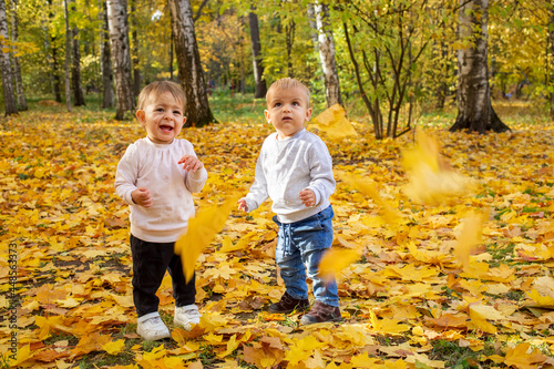 two little toddlers laugh under the falling autumn leaves. adorable kids in autumn park