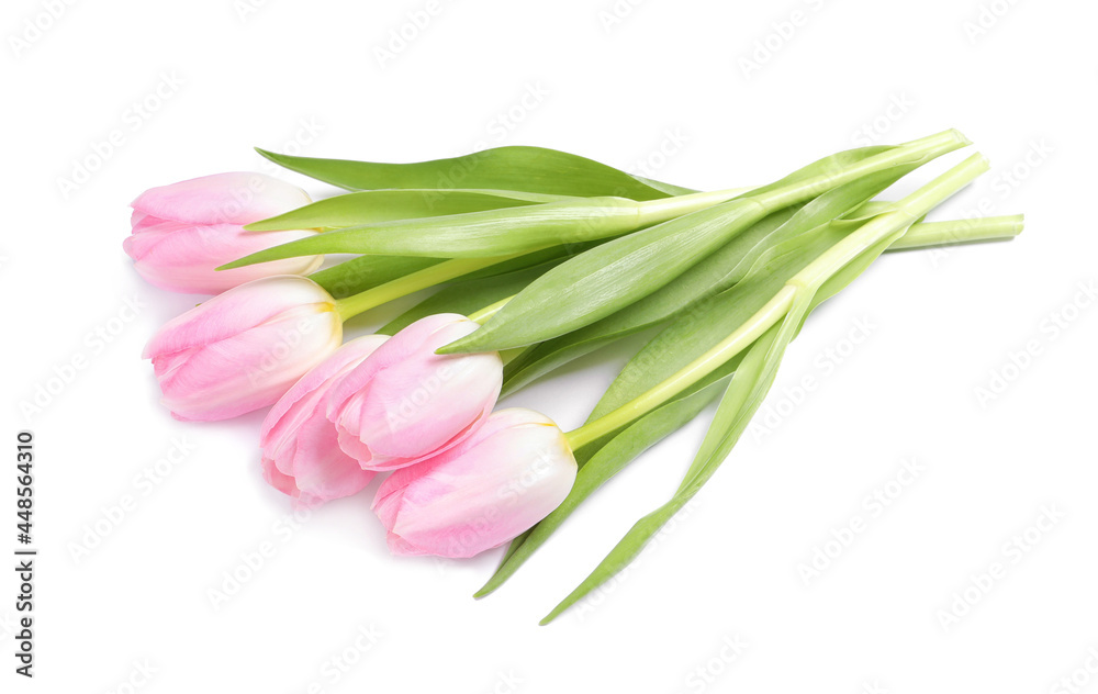Beautiful pink spring tulips on white background Beautiful pink spring tulips on white background