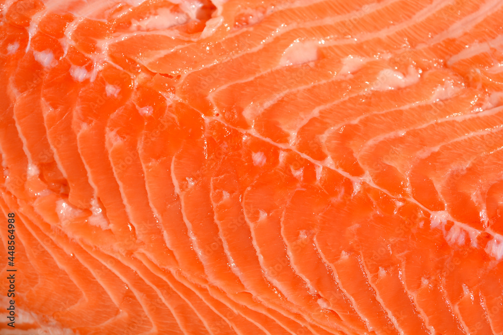 Salmon fillet Salmon fillet