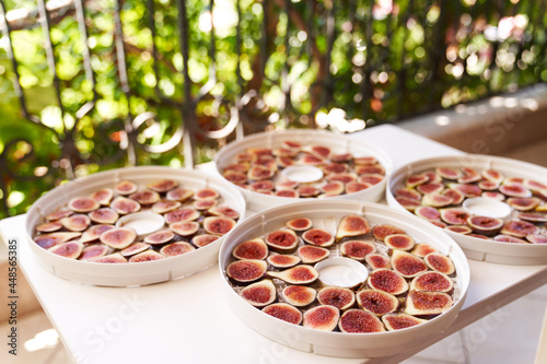 Fruit drying process on white dehydrator plates on balcony 