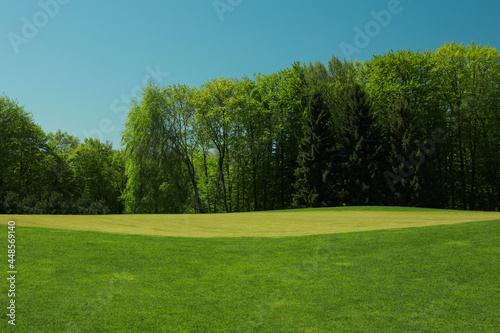 Fototapeta Naklejka Na Ścianę i Meble -  Picturesque view of golf course with fresh green grass and trees