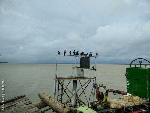 Lots of Crow sitting on a boat in the middle of the river in Bangladesh photo