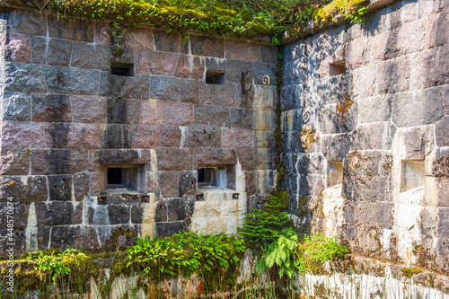 Overgrown old fortified wall in moat