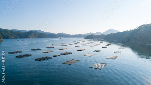 《宮城県》気仙沼大島・牡蠣の養殖 photo