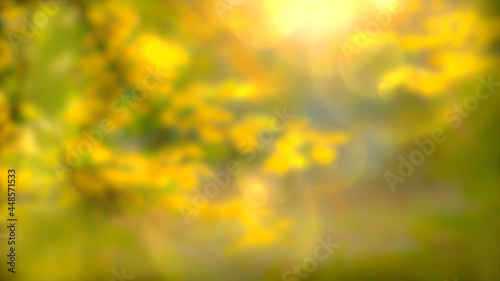 Fototapeta Naklejka Na Ścianę i Meble -  abstract background with blurry bokeh illustration and yellow leaves