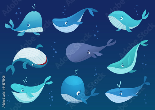 Whales cartoon. Underwater wild big cute fishes sea or ocean swimming animals exact vector whales in various poses isolated