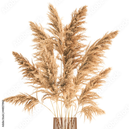 decorative bouquet of dried flowers in a vase with reeds on a white background