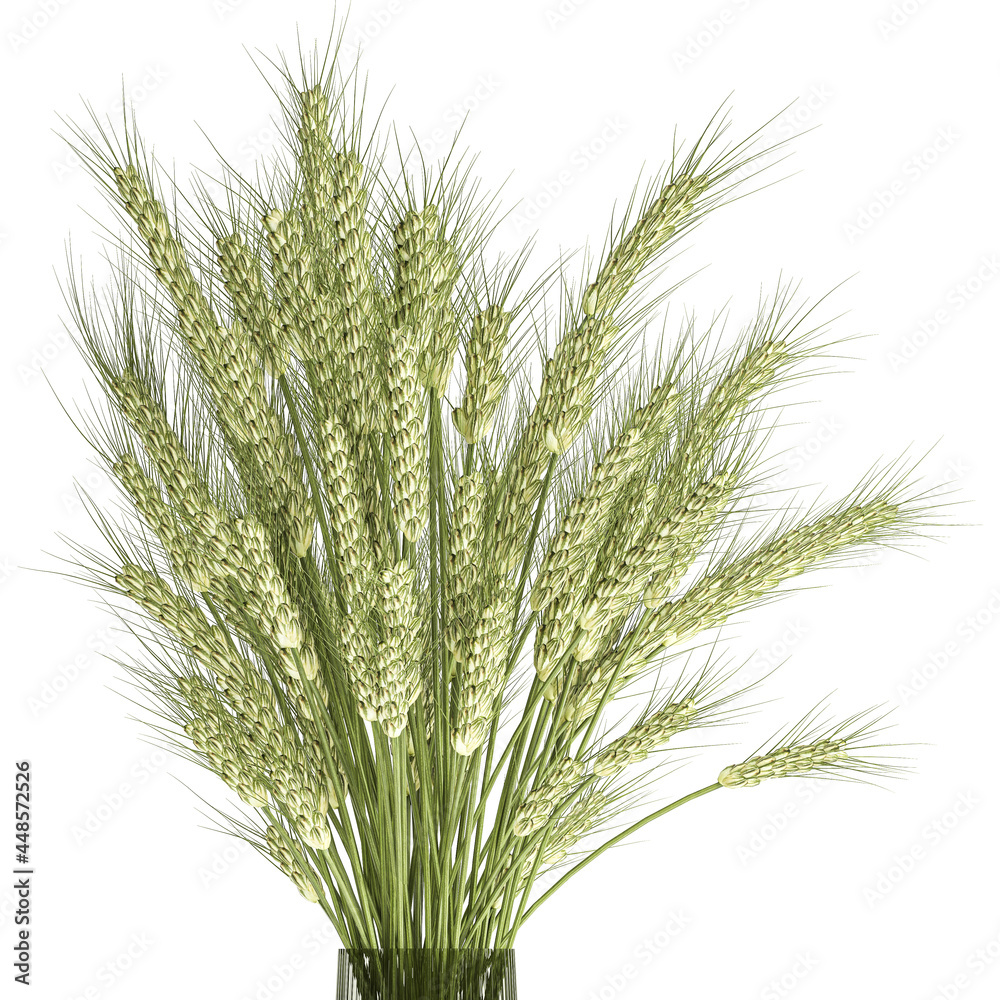 decorative bouquet of wheat in a glass vase on a white background decorative bouquet of wheat in a glass vase on a white background