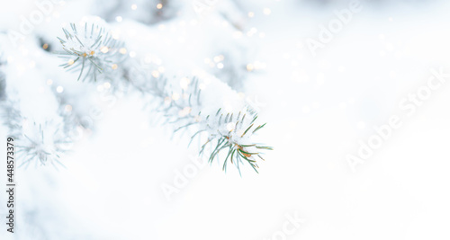 Christmas tree background outdoor with snow, lights bokeh around, and snow falling, Christmas atmosphere © Anastassiya 
