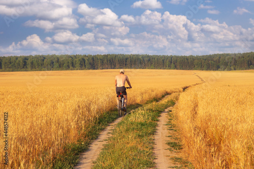 a man rides a bicycle on the road in a field with ripe wheat