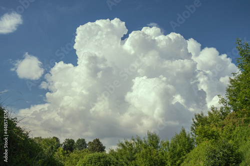 clouds over green forest