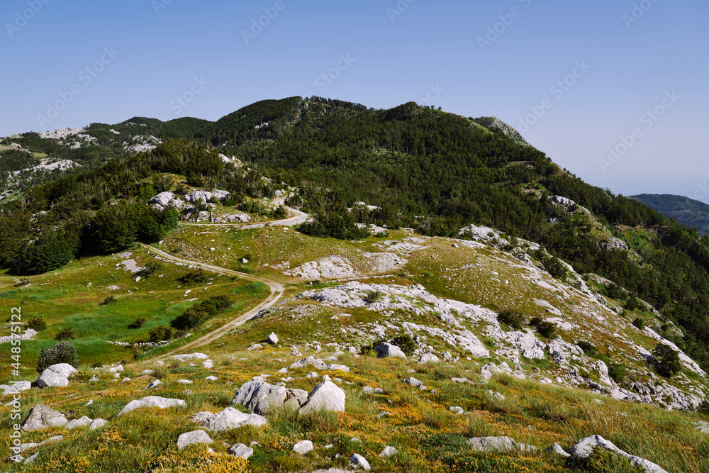 View of the mountains covered with forest, grass and stones