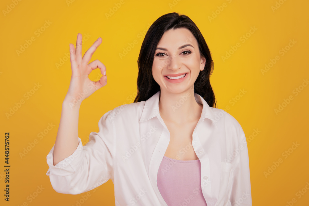 Portrait of adviser promoter positive girl show okey approve sign on yellow background Portrait of adviser promoter positive girl show okey approve sign on yellow background