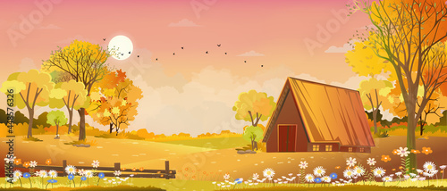 Vector Autumn landscape wood barn  and misty forest trees with clouds ,Orange and Pink sky,Illustration Peaceful scenery rural field,Cartoon Natural countryside with sunrise for fall season background