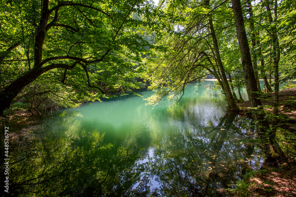 Obraz premium A view of Yedigoller (Seven lakes) National Park near Bolu, Turkey. Yedigoller consists of several interconnected lakes, camping sites, waterfalls, creeks and is surrounded by a thick forest.