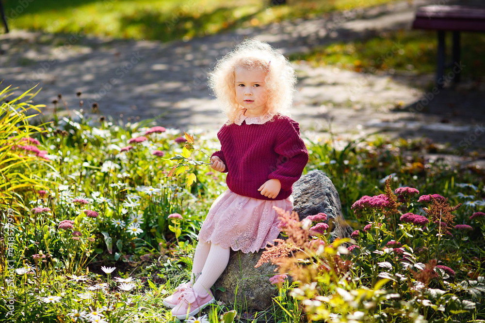 A little girl with light curly hair on a flower bed with blooming pink and white flowers in sunny weather. A child in a burgundy sweater in the park.