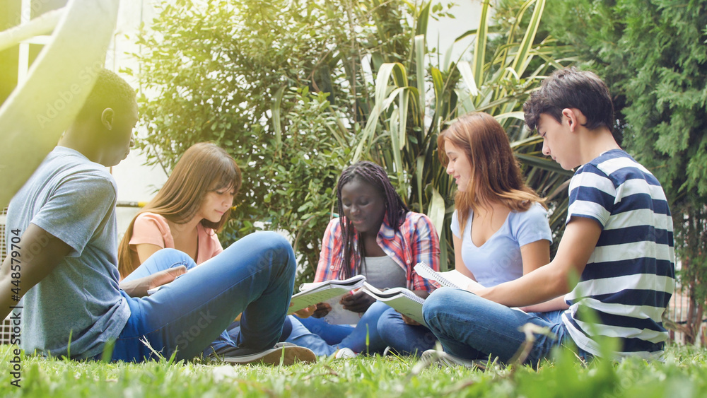 Multi ethnic group of five students sitting on the grass doing homework and relaxing Multi ethnic group of five students sitting on the grass doing homework and relaxing
