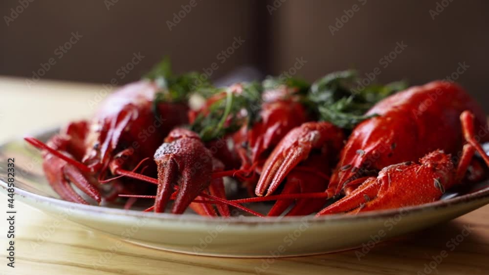 Red boiled crawfish served on a plate with green dill. Luxury sea food dish in restaurant. Steamed lobster seafood with on a table. Boiled red crayfish steaming in slow motion. Red boiled crawfish served on a plate with green dill. Luxury sea food dish in restaurant. Steamed lobster seafood with on a table. Boiled red crayfish steaming in slow motion.