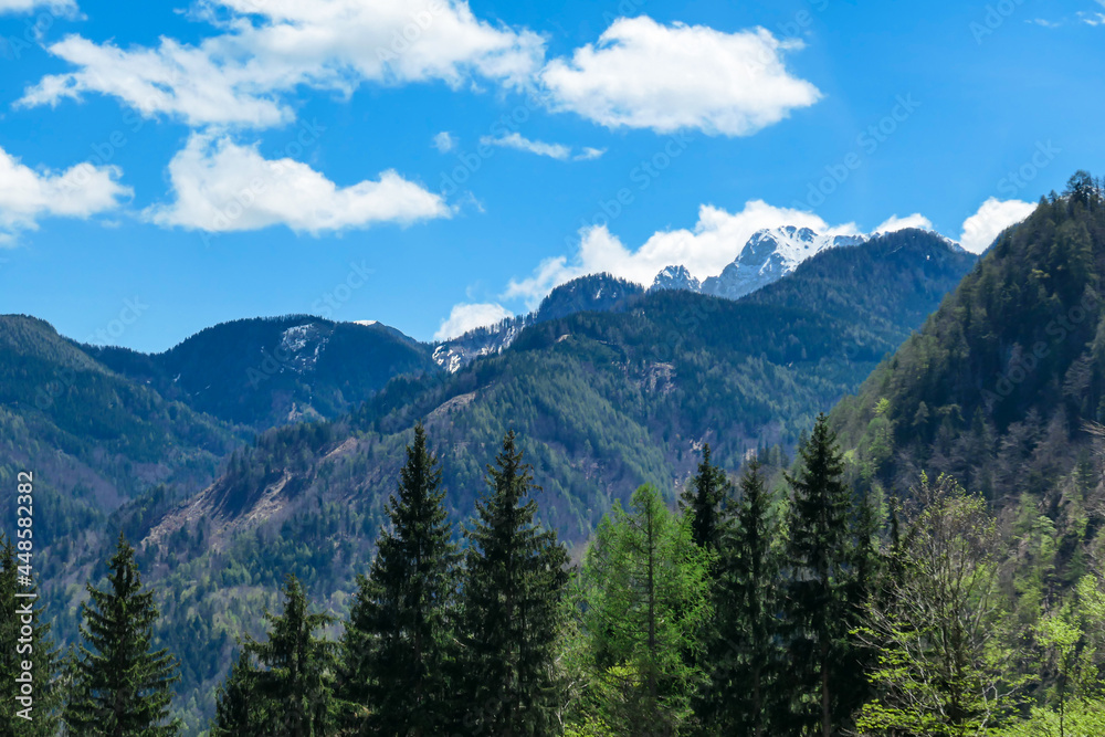A panoramic view on Baeren Valley in Austrian Alps. The highest peaks in the chain are snow-capped. Lush green pasture in front. A few trees on the slopes. Clear and sunny day. High mountain chains.