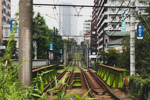 railroad tracks in the forest