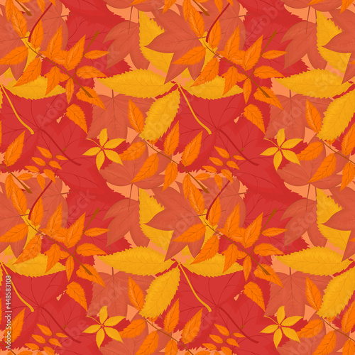 vector pattern with autumn leaves