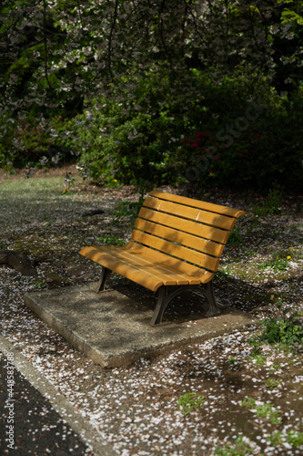 bench in the park