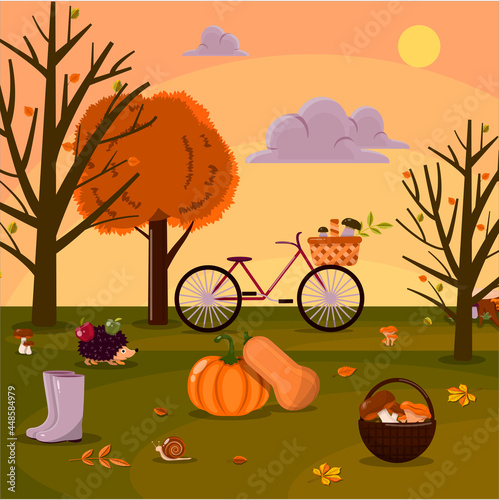 Vector illustration of an autumn park. Forest with mushrooms and animals. Mushroom picking and harvesting