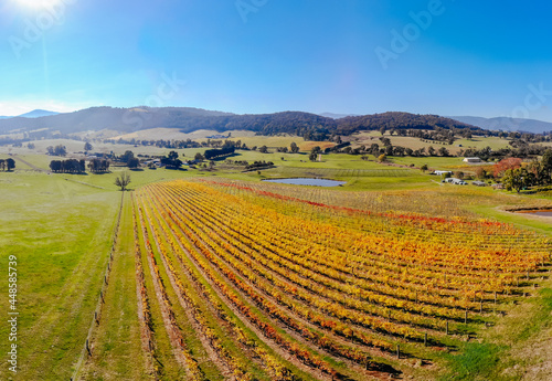 Yarra Valley Vineyard and Landscape in Australia