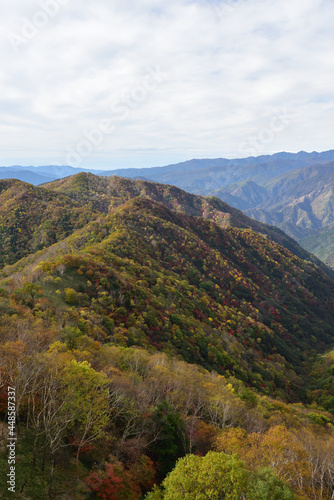 View of mountain covered with red and yellow leaves