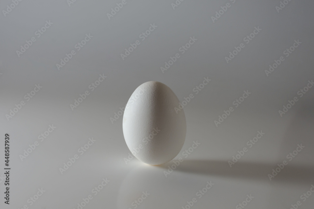 Isolated fresh white egg standing on a grey background. Natural ecological product Isolated fresh white egg standing on a grey background. Natural ecological product