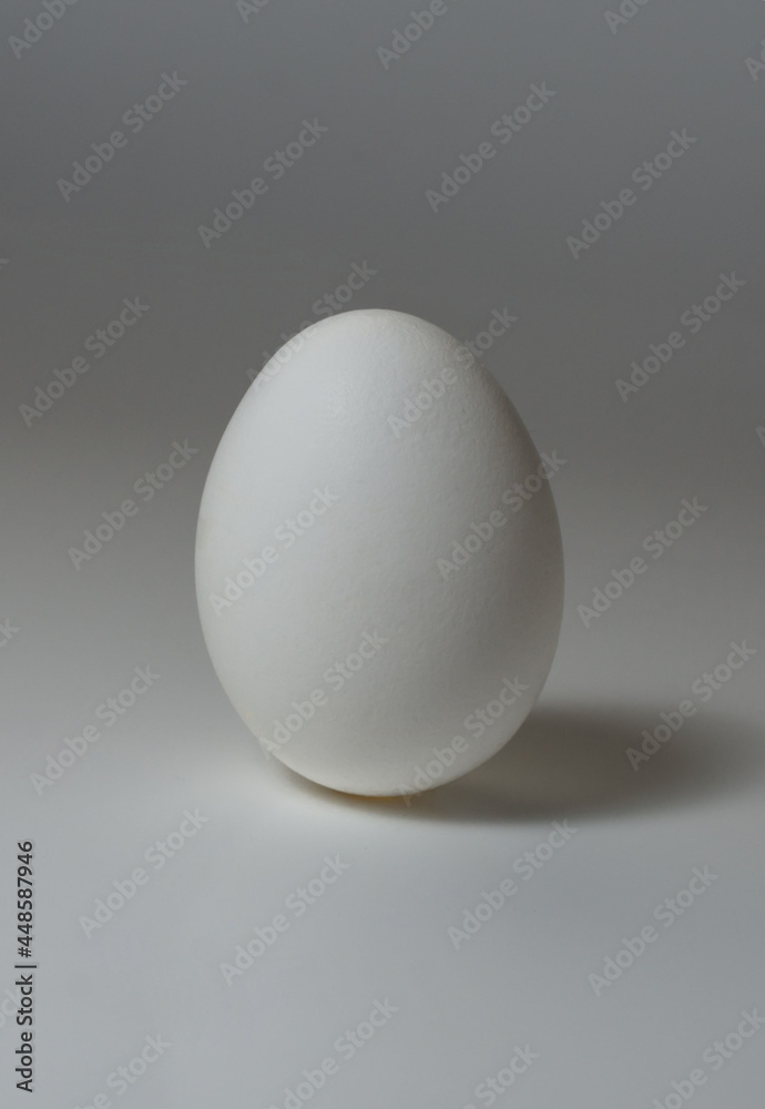 Isolated fresh white egg standing on a grey background. Natural ecological product Isolated fresh white egg standing on a grey background. Natural ecological product