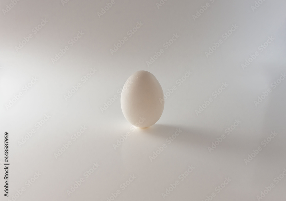 Isolated fresh white egg standing on a grey background. Natural ecological product Isolated fresh white egg standing on a grey background. Natural ecological product